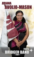 banner-avolio-mason